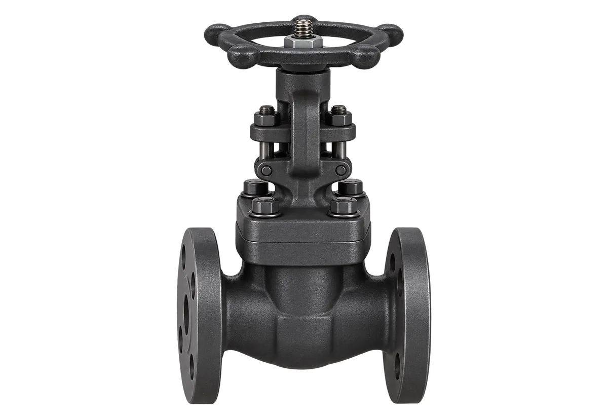Esclusa Serie 800 bridada